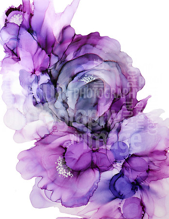 Lavender Series 1