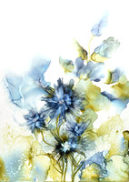 Blue Series 2