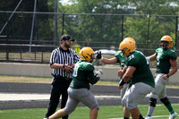 sps_0009_1010625275