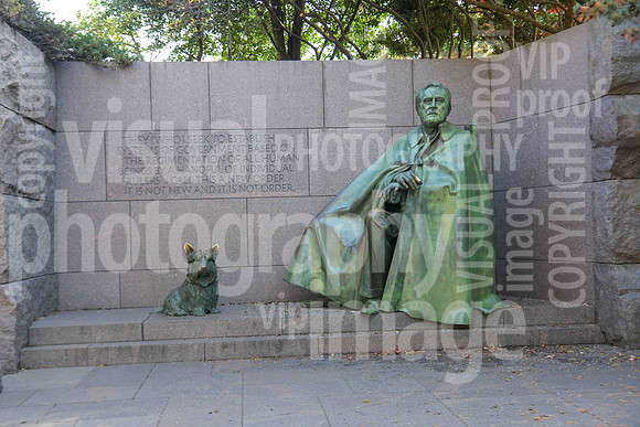 sps_0493_1011679282
