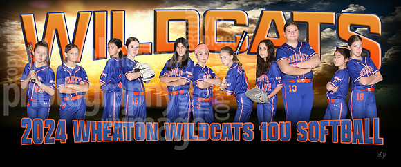 10u_wildcats_pp