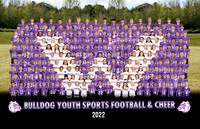 bullldog_all_league_poster