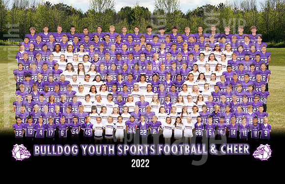 bullldog_all_league_poster