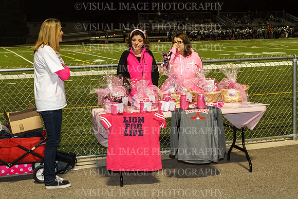 SVHS_013