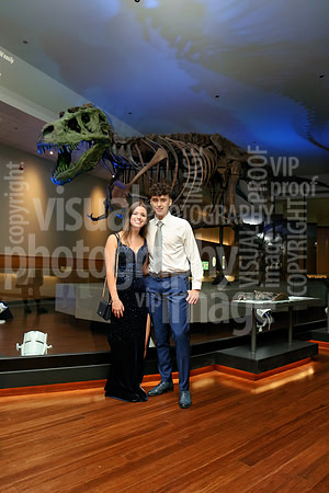 sps_0032_1036696644