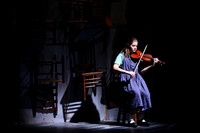 DSHA_0016