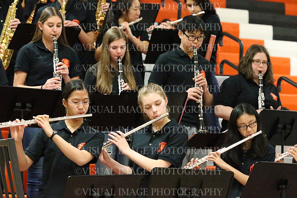 LBHS_013