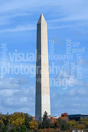 sps_0504_1011679293