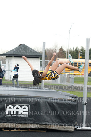 HINS_032
