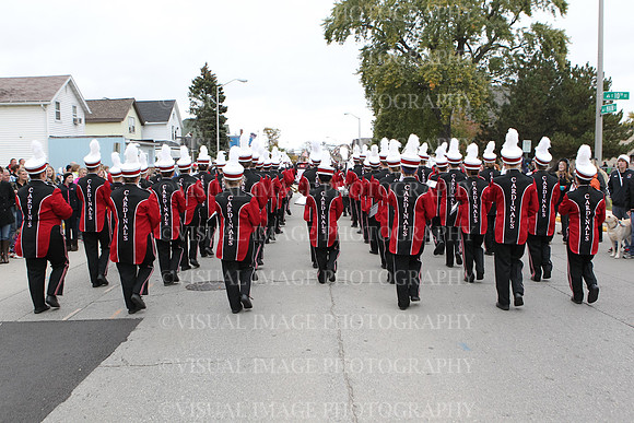 FDHS_008
