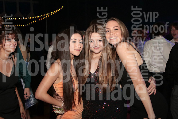 sps_0043_1010872841