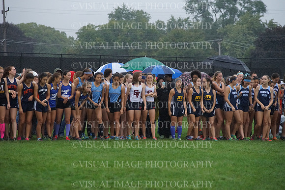 SVHS_029