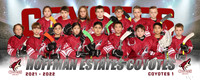 coyotes1