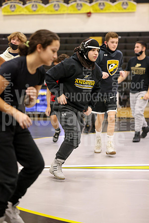 sps_0003_1008215444