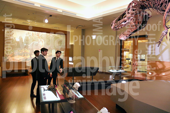sps_0040_1036696651