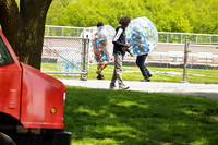 sps_0005_1037028663