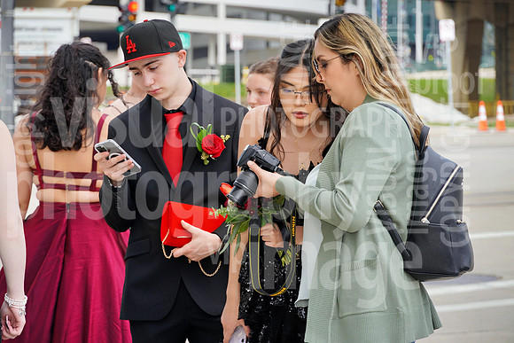 sps_0008_1036708977