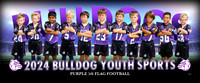 flagpurple5-6