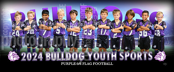 flagpurple5-6