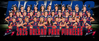 juniorvarsitycheer