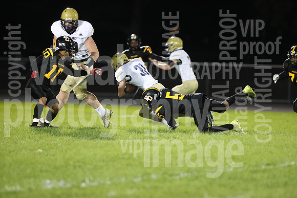 BDHS_033