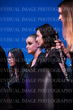 ssvhs wntr arts fst-38