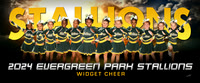 widgetcheer-ng_