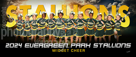 widgetcheer-ng_