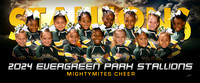 mightymitescheer-ng_
