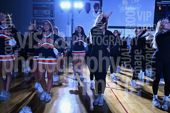 sps_0393_1010999285