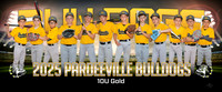 10uGold