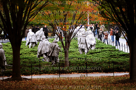 DSC_1159-2219600856-O