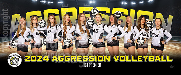 161premier-g_