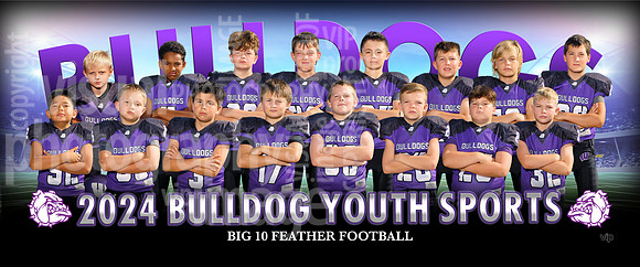 big10feather
