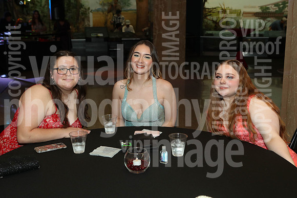 sps_0083_1008960243
