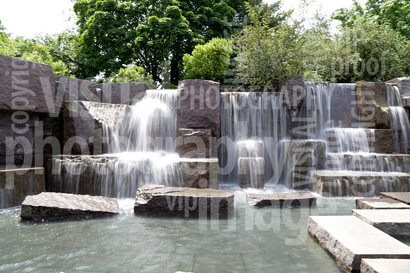 SSHF_DMM_0365