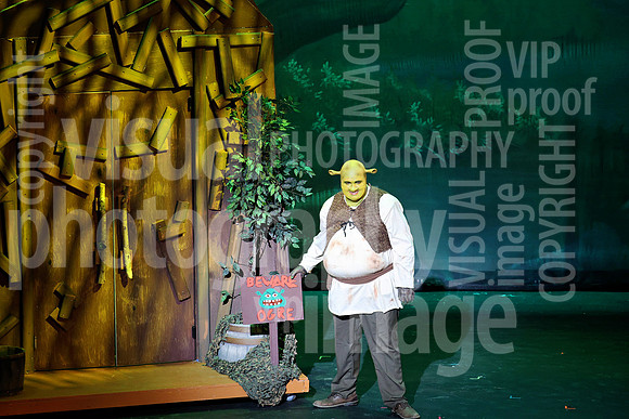sps_0031_1036865270