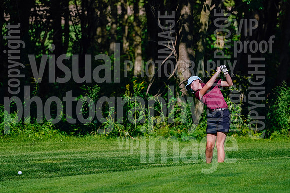 sps_0022_1010157102