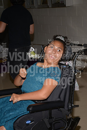 sps_1315_1010865913