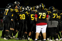 BDHS_010