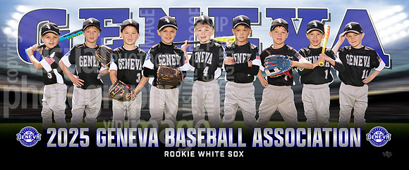 rookie_whitesox