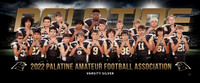 varsitysilver