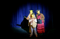 sps_0008_1036865604