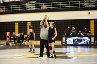 Wrestling Girls 12-1