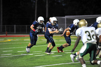 SVHS_020