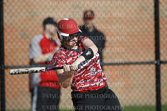 TFHS_066