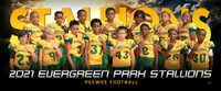 pw_fb