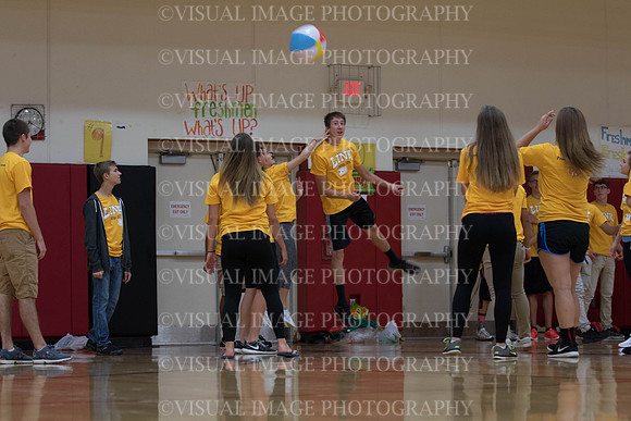 _MG_6463