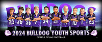 flagpurple7