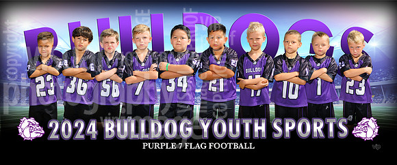 flagpurple7